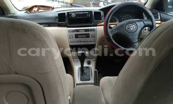 Acheter Occasion Voiture Toyota IST Autre à Chinsali, Nord Acheter Occasion Voiture Toyota IST Autre à Chinsali, Nord