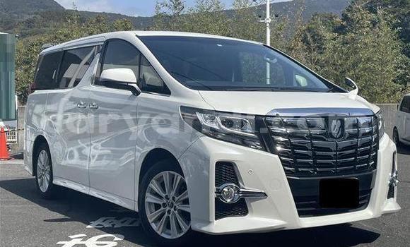 Tenga Tsaru Toyota Alphard Chena Mota in Lusaka in Zambia Tenga Tsaru Toyota Alphard Chena Mota in Lusaka in Zambia