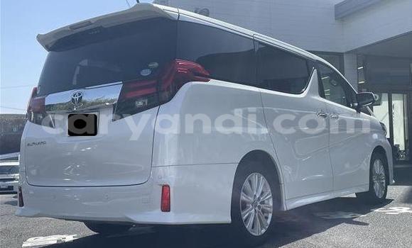 Tenga Tsaru Toyota Alphard Chena Mota in Lusaka in Zambia Tenga Tsaru Toyota Alphard Chena Mota in Lusaka in Zambia