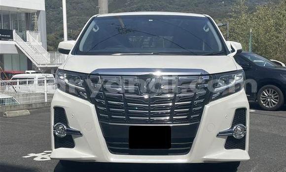 Tenga Tsaru Toyota Alphard Chena Mota in Lusaka in Zambia Tenga Tsaru Toyota Alphard Chena Mota in Lusaka in Zambia