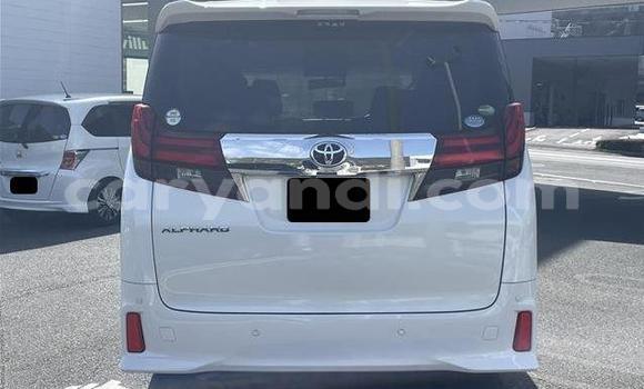 Tenga Tsaru Toyota Alphard Chena Mota in Lusaka in Zambia Tenga Tsaru Toyota Alphard Chena Mota in Lusaka in Zambia