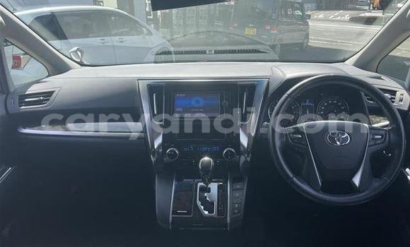 Tenga Tsaru Toyota Alphard Chena Mota in Lusaka in Zambia Tenga Tsaru Toyota Alphard Chena Mota in Lusaka in Zambia