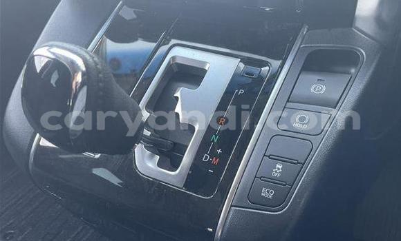 Tenga Tsaru Toyota Alphard Chena Mota in Lusaka in Zambia Tenga Tsaru Toyota Alphard Chena Mota in Lusaka in Zambia