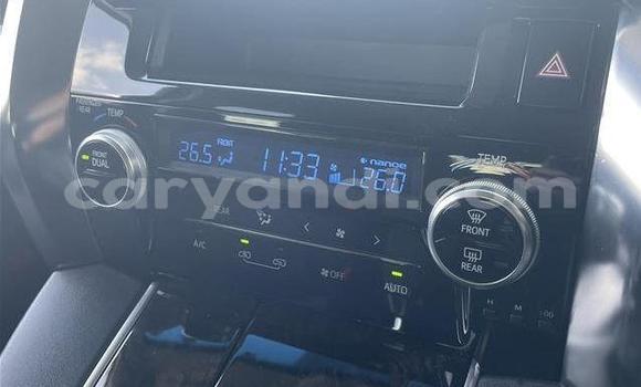 Tenga Tsaru Toyota Alphard Chena Mota in Lusaka in Zambia Tenga Tsaru Toyota Alphard Chena Mota in Lusaka in Zambia