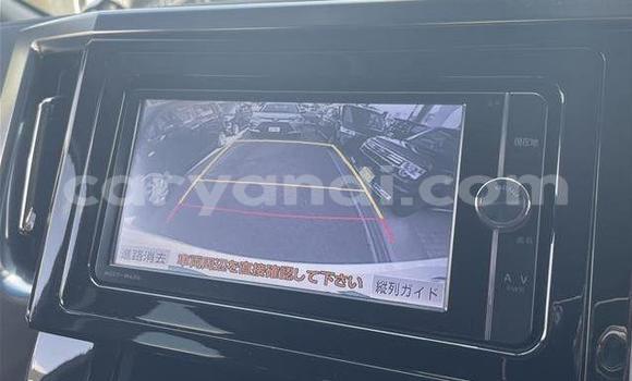 Tenga Tsaru Toyota Alphard Chena Mota in Lusaka in Zambia Tenga Tsaru Toyota Alphard Chena Mota in Lusaka in Zambia