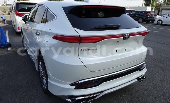 Tenga Tsaru Toyota Harrier Chena Mota in Chilanga in Lusaka Tenga Tsaru Toyota Harrier Chena Mota in Chilanga in Lusaka