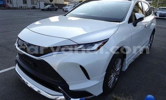 Tenga Tsaru Toyota Harrier Chena Mota in Chilanga in Lusaka Tenga Tsaru Toyota Harrier Chena Mota in Chilanga in Lusaka