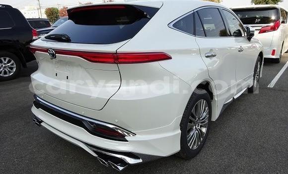 Tenga Tsaru Toyota Harrier Chena Mota in Chilanga in Lusaka Tenga Tsaru Toyota Harrier Chena Mota in Chilanga in Lusaka