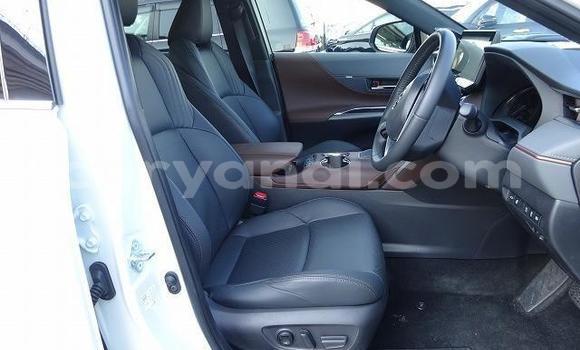 Tenga Tsaru Toyota Harrier Chena Mota in Chilanga in Lusaka Tenga Tsaru Toyota Harrier Chena Mota in Chilanga in Lusaka