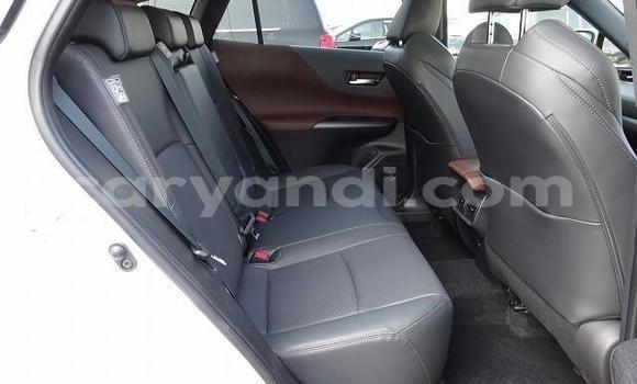 Tenga Tsaru Toyota Harrier Chena Mota in Chilanga in Lusaka Tenga Tsaru Toyota Harrier Chena Mota in Chilanga in Lusaka