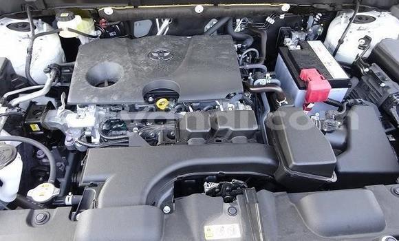 Tenga Tsaru Toyota Harrier Chena Mota in Chilanga in Lusaka Tenga Tsaru Toyota Harrier Chena Mota in Chilanga in Lusaka