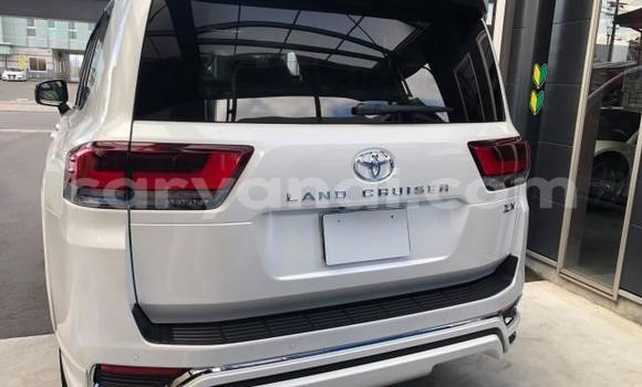 Tenga Tsaru Toyota Land Cruiser Chena Mota in Lusaka in Zambia Tenga Tsaru Toyota Land Cruiser Chena Mota in Lusaka in Zambia