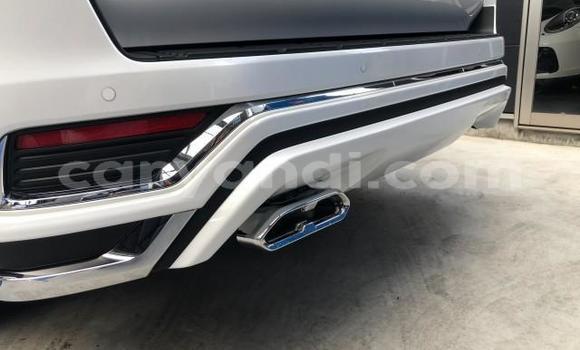 Tenga Tsaru Toyota Land Cruiser Chena Mota in Lusaka in Zambia Tenga Tsaru Toyota Land Cruiser Chena Mota in Lusaka in Zambia