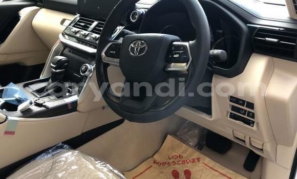 Tenga Tsaru Toyota Land Cruiser Chena Mota in Lusaka in Zambia Tenga Tsaru Toyota Land Cruiser Chena Mota in Lusaka in Zambia