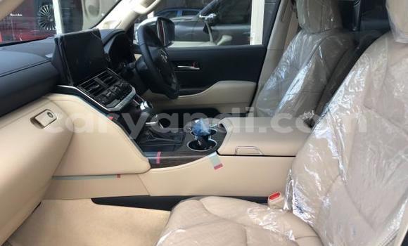 Tenga Tsaru Toyota Land Cruiser Chena Mota in Lusaka in Zambia Tenga Tsaru Toyota Land Cruiser Chena Mota in Lusaka in Zambia