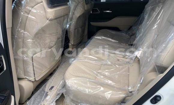 Tenga Tsaru Toyota Land Cruiser Chena Mota in Lusaka in Zambia Tenga Tsaru Toyota Land Cruiser Chena Mota in Lusaka in Zambia