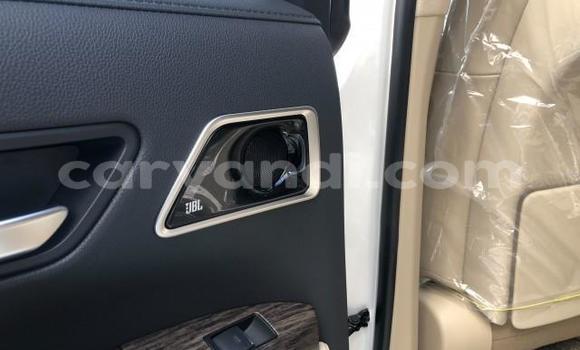 Tenga Tsaru Toyota Land Cruiser Chena Mota in Lusaka in Zambia Tenga Tsaru Toyota Land Cruiser Chena Mota in Lusaka in Zambia