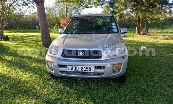 Tenga Tsaru Toyota Hilux Zvimwe Mota in Lusaka in Zambia Tenga Tsaru Toyota Hilux Zvimwe Mota in Lusaka in Zambia