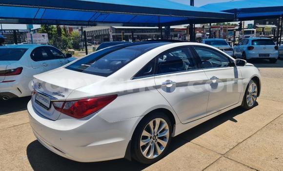 Nunua Ilio tumika Hyundai Sonata Nyeupe Gari ndani ya Lusaka nchini Zambia Nunua Ilio tumika Hyundai Sonata Nyeupe Gari ndani ya Lusaka nchini Zambia