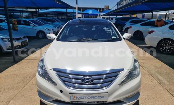 Nunua Ilio tumika Hyundai Sonata Nyeupe Gari ndani ya Lusaka nchini Zambia Nunua Ilio tumika Hyundai Sonata Nyeupe Gari ndani ya Lusaka nchini Zambia
