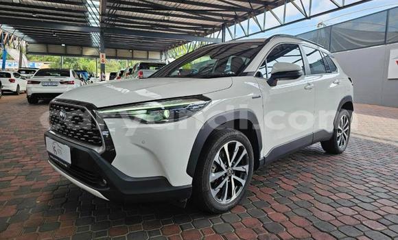 Buy Used Toyota Corolla Cross White Car in Solwezi in North-Western Buy Used Toyota Corolla Cross White Car in Solwezi in North-Western