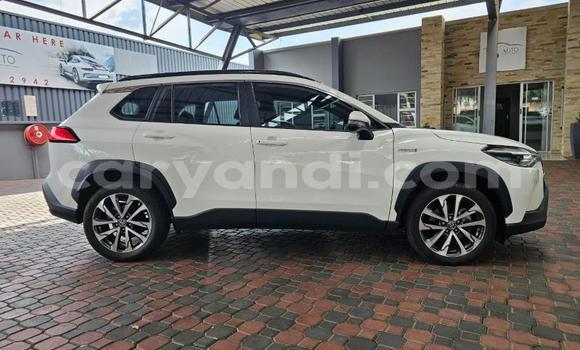 Buy Used Toyota Corolla Cross White Car in Solwezi in North-Western Buy Used Toyota Corolla Cross White Car in Solwezi in North-Western