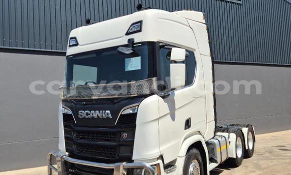 Buy Used Scania R420 White Truck in Livingstone in Zambia
