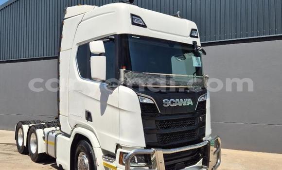 Buy Used Scania R420 White Truck in Livingstone in Zambia Buy Used Scania R420 White Truck in Livingstone in Zambia