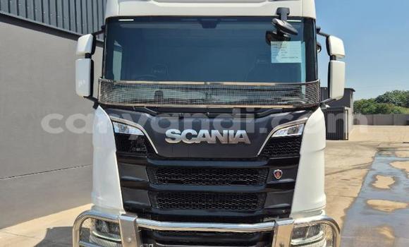 Buy Used Scania R420 White Truck in Livingstone in Zambia Buy Used Scania R420 White Truck in Livingstone in Zambia