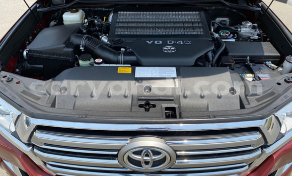 Nunua Ilio tumika Toyota Land Cruiser Nyekundu Gari ndani ya Livingstone nchini Zambia Nunua Ilio tumika Toyota Land Cruiser Nyekundu Gari ndani ya Livingstone nchini Zambia