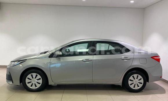 Buy Used Toyota Corolla Silver Car in Lusaka in Zambia Buy Used Toyota Corolla Silver Car in Lusaka in Zambia