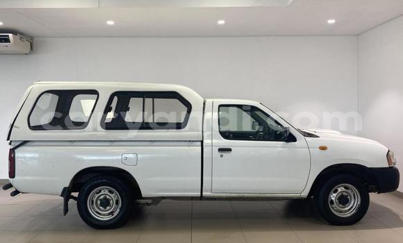 Acheter Occasion Voiture Nissan NP 300 Blanc à Lusaka, Zambie Acheter Occasion Voiture Nissan NP 300 Blanc à Lusaka, Zambie