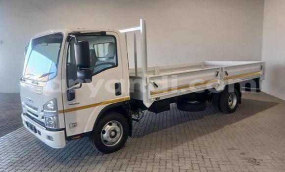 Acheter Occasion Utilitaire Isuzu FTR 850 Blanc à Livingstone, Zambie Acheter Occasion Utilitaire Isuzu FTR 850 Blanc à Livingstone, Zambie