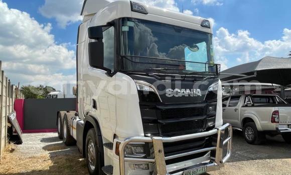 Buy Used Scania R420 White Truck in Lusaka in Zambia