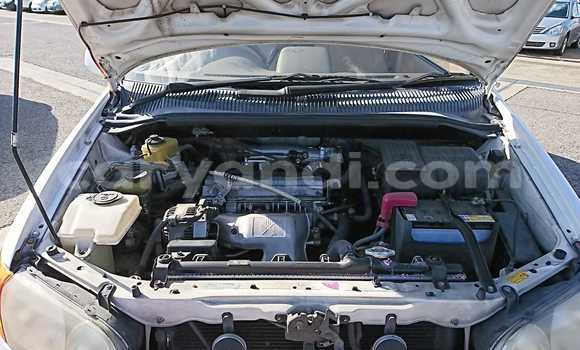 Nunua Ilio tumika Toyota Epsun Nyeupe Gari ndani ya Livingstone nchini Zambia Nunua Ilio tumika Toyota Epsun Nyeupe Gari ndani ya Livingstone nchini Zambia