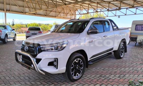 Acheter Occasion Voiture Toyota Hilux Blanc à Lusaka, Zambie Acheter Occasion Voiture Toyota Hilux Blanc à Lusaka, Zambie