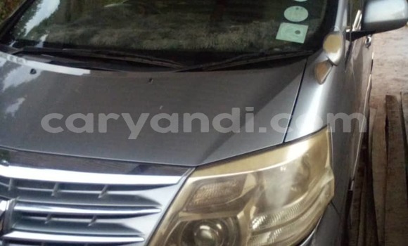Acheter Occasion Voiture Toyota Alphard Gris à Solwezi, Nord-Ouest