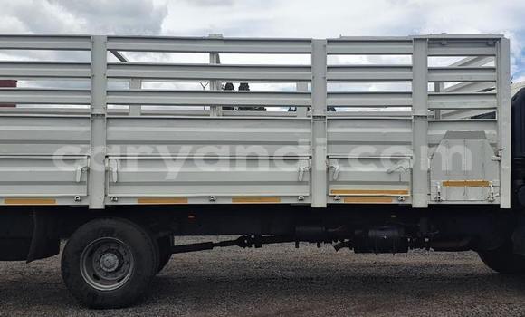 Acheter Occasion Utilitaire Hino 300 Series Blanc à Lusaka, Zambie Acheter Occasion Utilitaire Hino 300 Series Blanc à Lusaka, Zambie