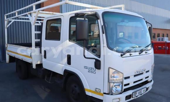 Buy Used Isuzu FTR 850 White Truck in Lusaka in Zambia