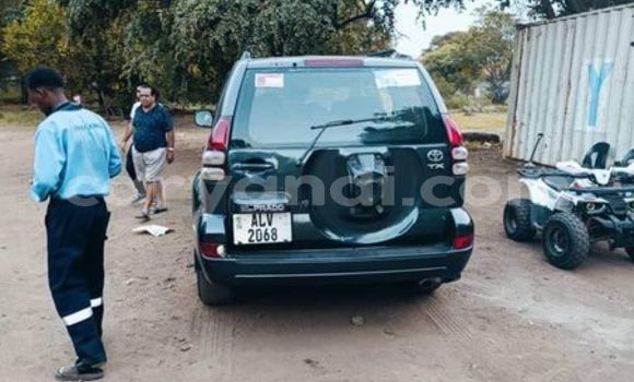 Tenga Tsaru Toyota Prado Zvimwe Mota in Lusaka in Zambia Tenga Tsaru Toyota Prado Zvimwe Mota in Lusaka in Zambia