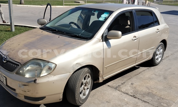 Nunua Ilio tumika Toyota Runx Beige Gari ndani ya Lusaka nchini Zambia Nunua Ilio tumika Toyota Runx Beige Gari ndani ya Lusaka nchini Zambia