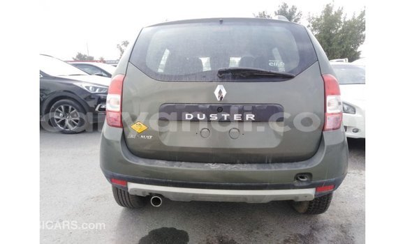 Buy Import Renault Duster Green Car in Import - Dubai in Zambia
