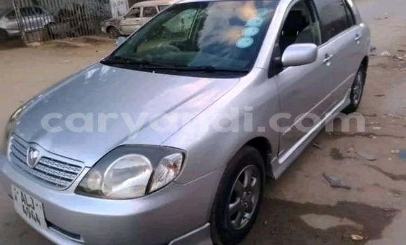 Acheter Occasion Voiture Toyota Runx Autre à Lusaka, Zambie Acheter Occasion Voiture Toyota Runx Autre à Lusaka, Zambie