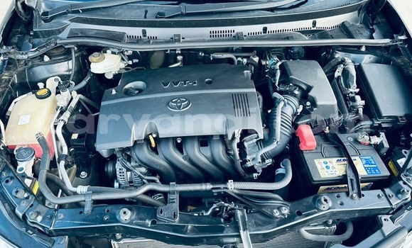 Tenga Tsaru Toyota Auris Nhema Mota in Lusaka in Zambia Tenga Tsaru Toyota Auris Nhema Mota in Lusaka in Zambia