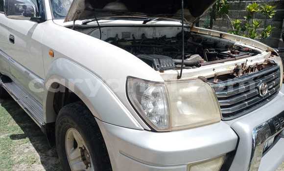 Buy Used Toyota Land Cruiser Prado White Car in Lusaka in Zambia Buy Used Toyota Land Cruiser Prado White Car in Lusaka in Zambia