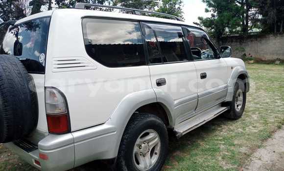 Buy Used Toyota Land Cruiser Prado White Car in Lusaka in Zambia Buy Used Toyota Land Cruiser Prado White Car in Lusaka in Zambia