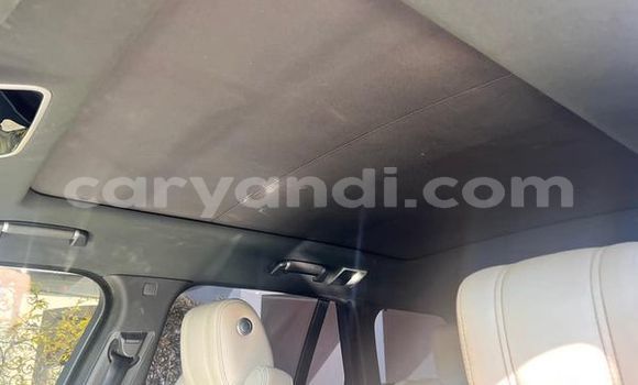 Tenga Tsaru Range Rover Range Rover Nhema Mota in Lusaka in Zambia Tenga Tsaru Range Rover Range Rover Nhema Mota in Lusaka in Zambia