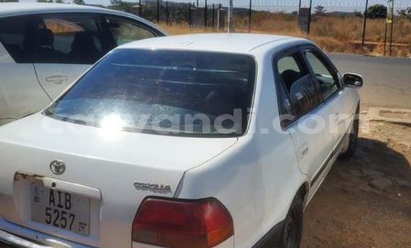Tenga Tsaru Toyota Corolla Chena Mota in Lusaka in Zambia Tenga Tsaru Toyota Corolla Chena Mota in Lusaka in Zambia