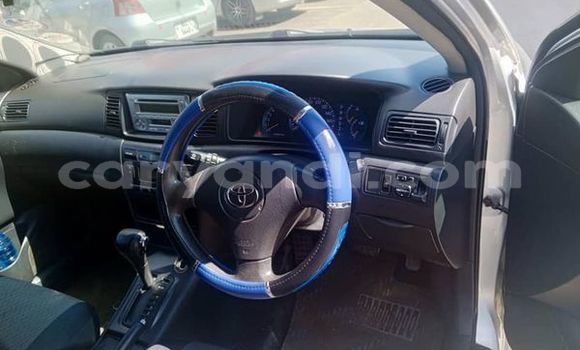 Buy Used Toyota Runx Other Car in Lusaka in Zambia
