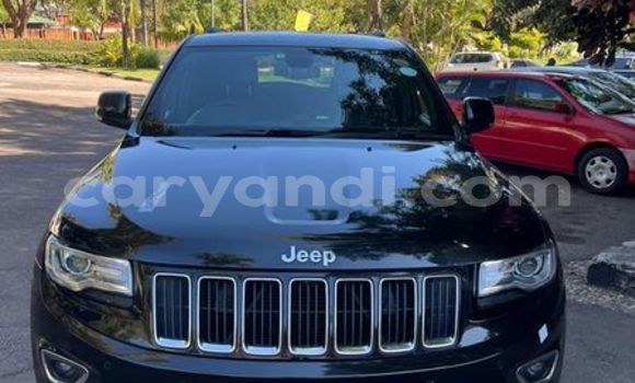 Tenga Tsaru Jeep Grand Cherokee Nhema Mota in Lusaka in Zambia Tenga Tsaru Jeep Grand Cherokee Nhema Mota in Lusaka in Zambia